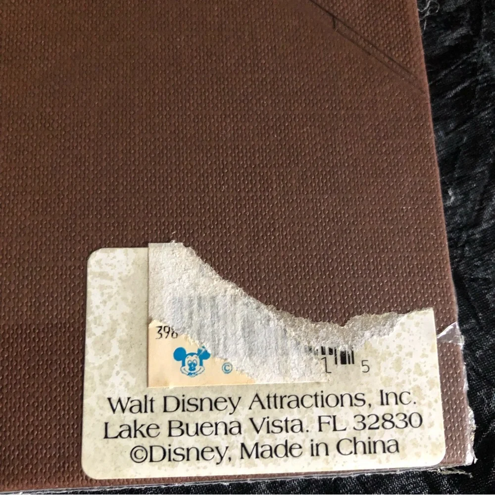Pair of Disney Animal Kingdom Square Picture Frame
